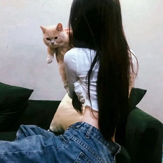 透明人与蝇男 封面